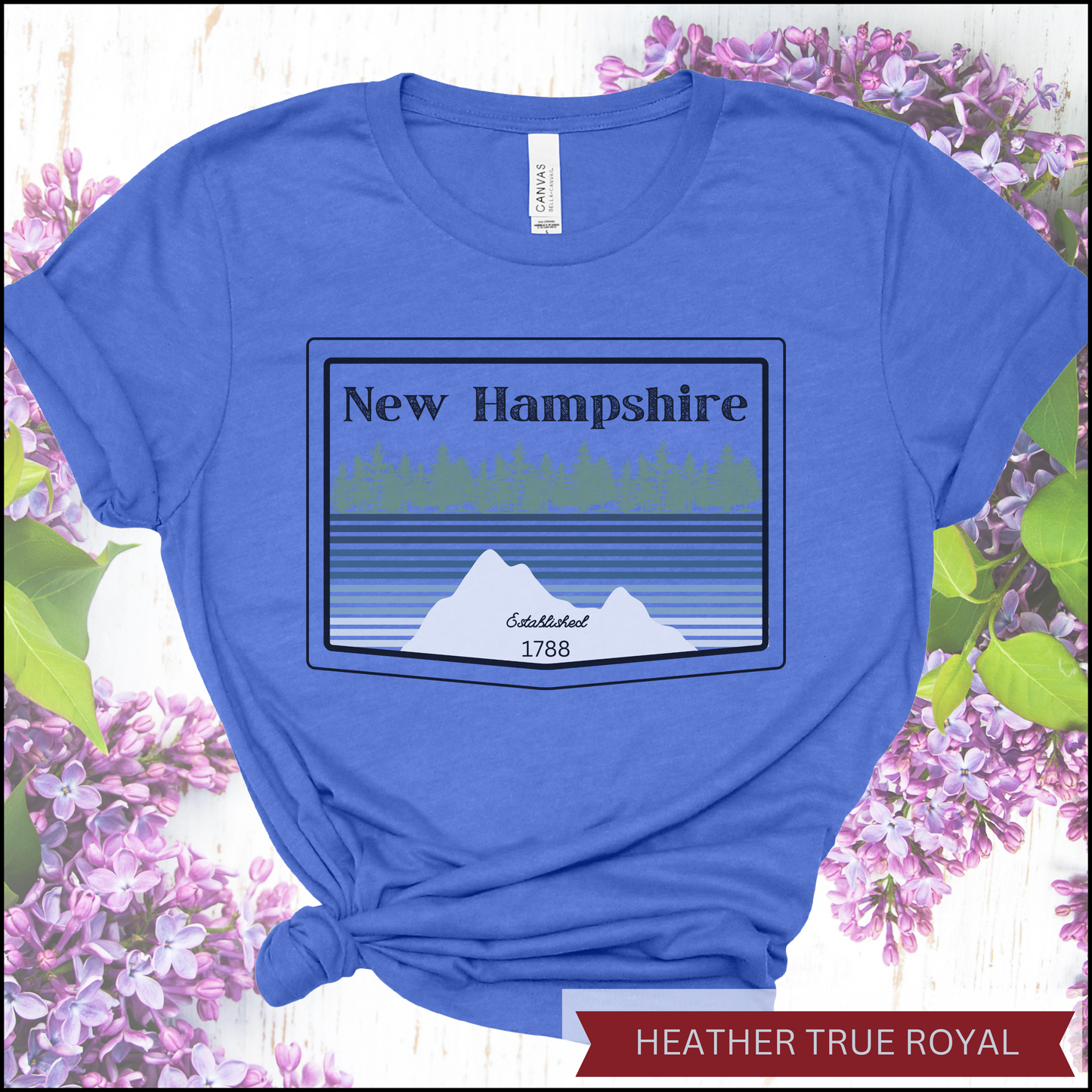 NH Established 1788 Unisex t-shirt